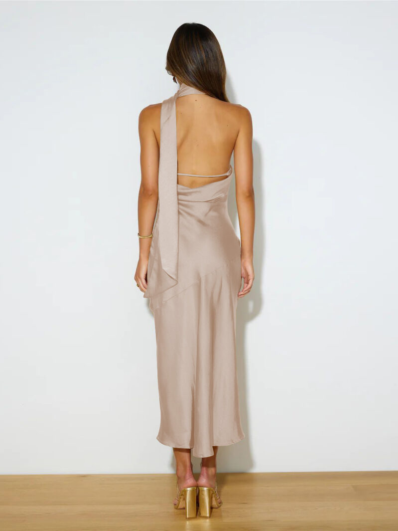 Elegant Backless Dress