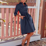 Classy Shirt Dress